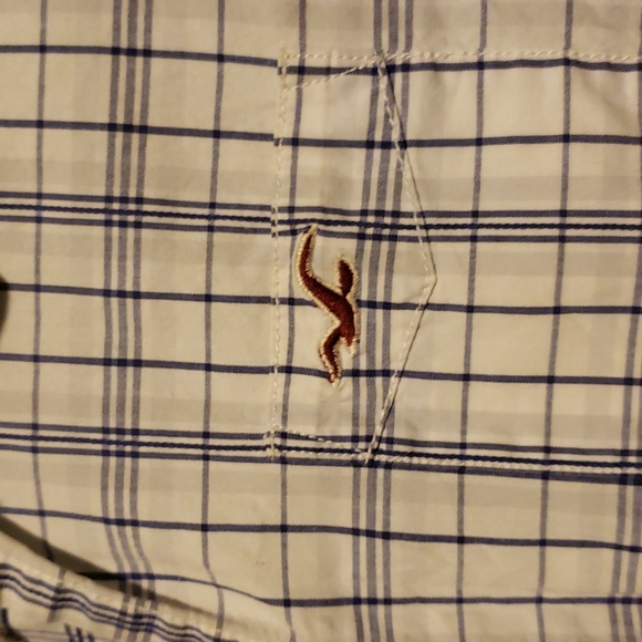 Hollister Tops - Hollister like new. Absolutely gorgeous Button down, collar shirt